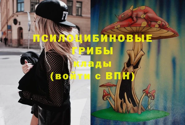 apvp Балахна